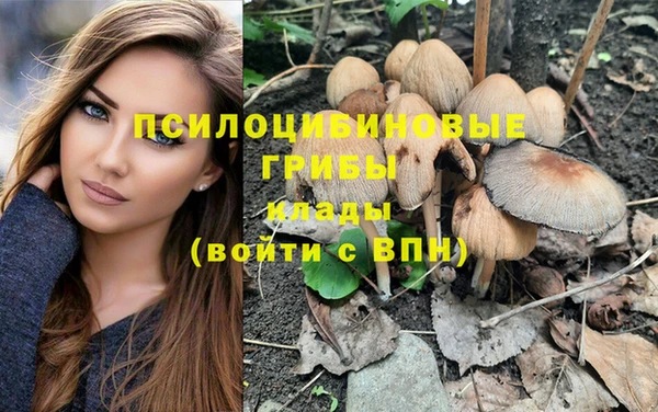 прущая мука Арсеньев