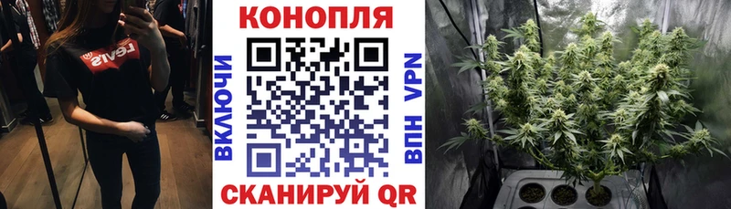 Марихуана White Widow  Купить закладки  Бобров 